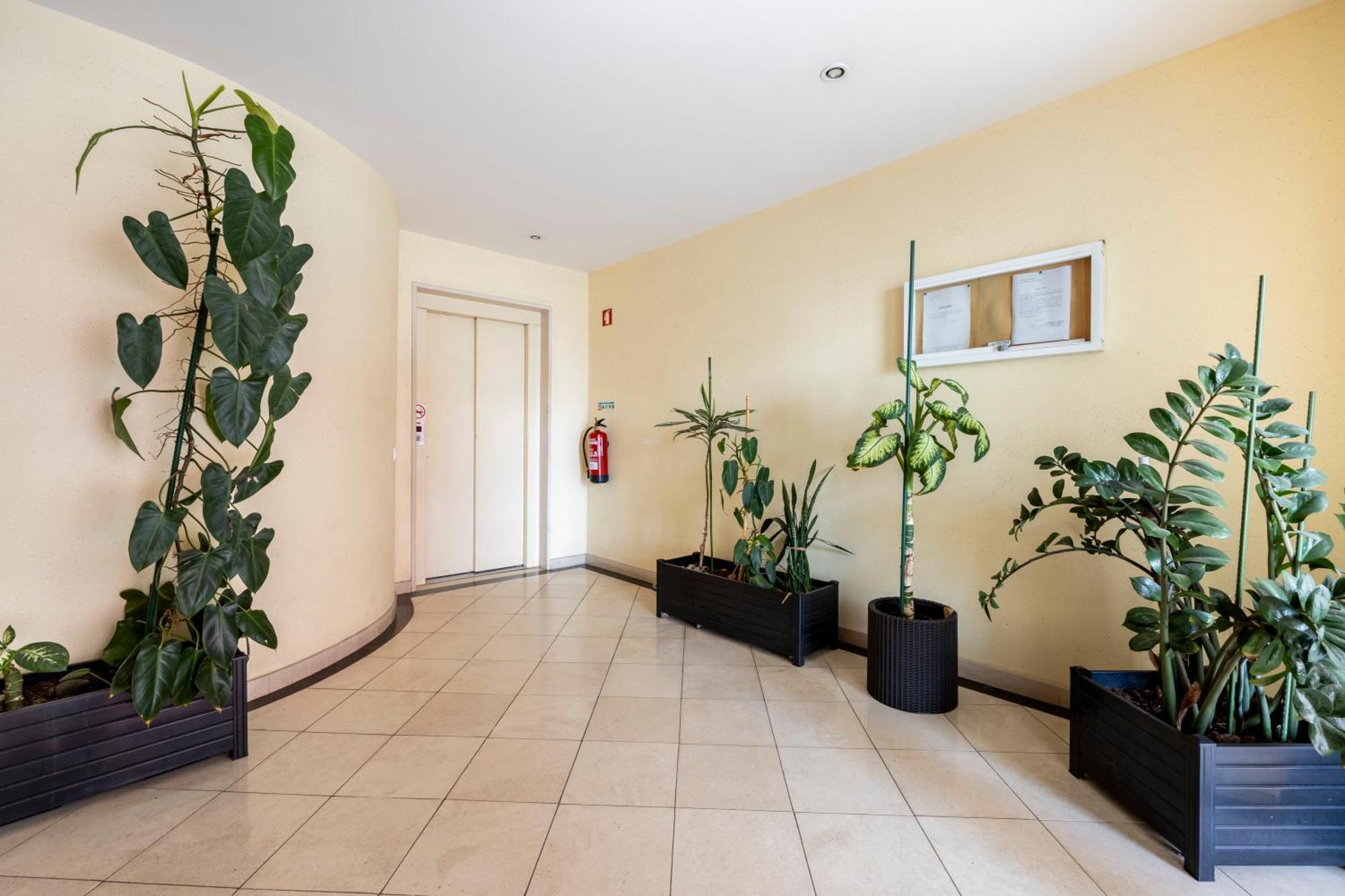 Apartamentos Mira Rio لاغوس المظهر الخارجي الصورة
